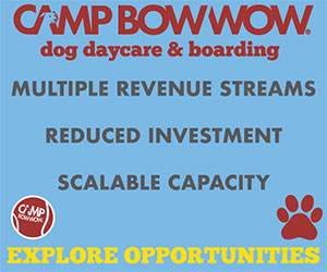 Camp Bow Wow