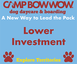 Camp Bow Wow